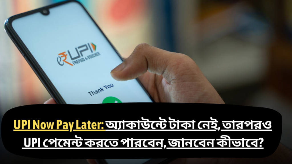 UPI Now Pay Later credit line
